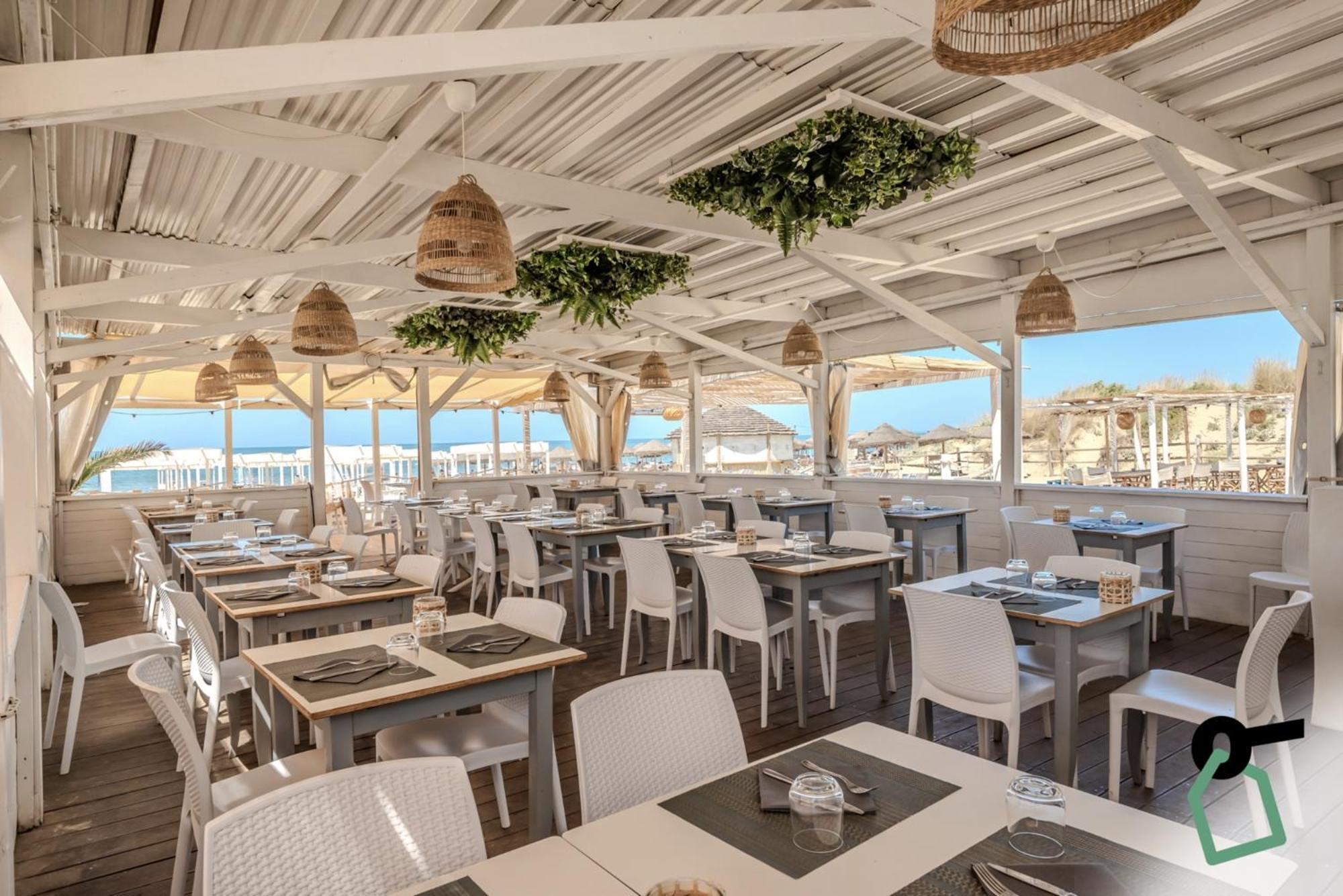 Hotel Hotiday Collection - Tirrenia